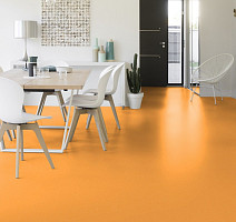 Colorette 0171 Sunrise Orange фото 2 | FLOORDEALER